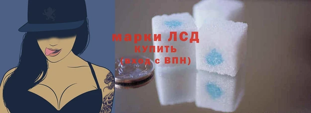 прущие крисы Алзамай