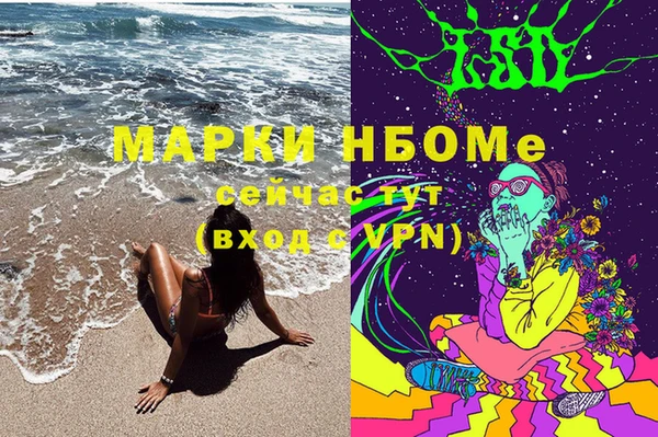бошки Алексин